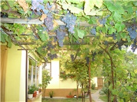1f3b60a3-Picture 070.jpg
